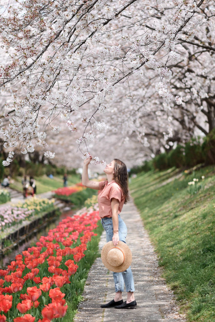 Cherry Blossoms In Yokohama | City And See Blog